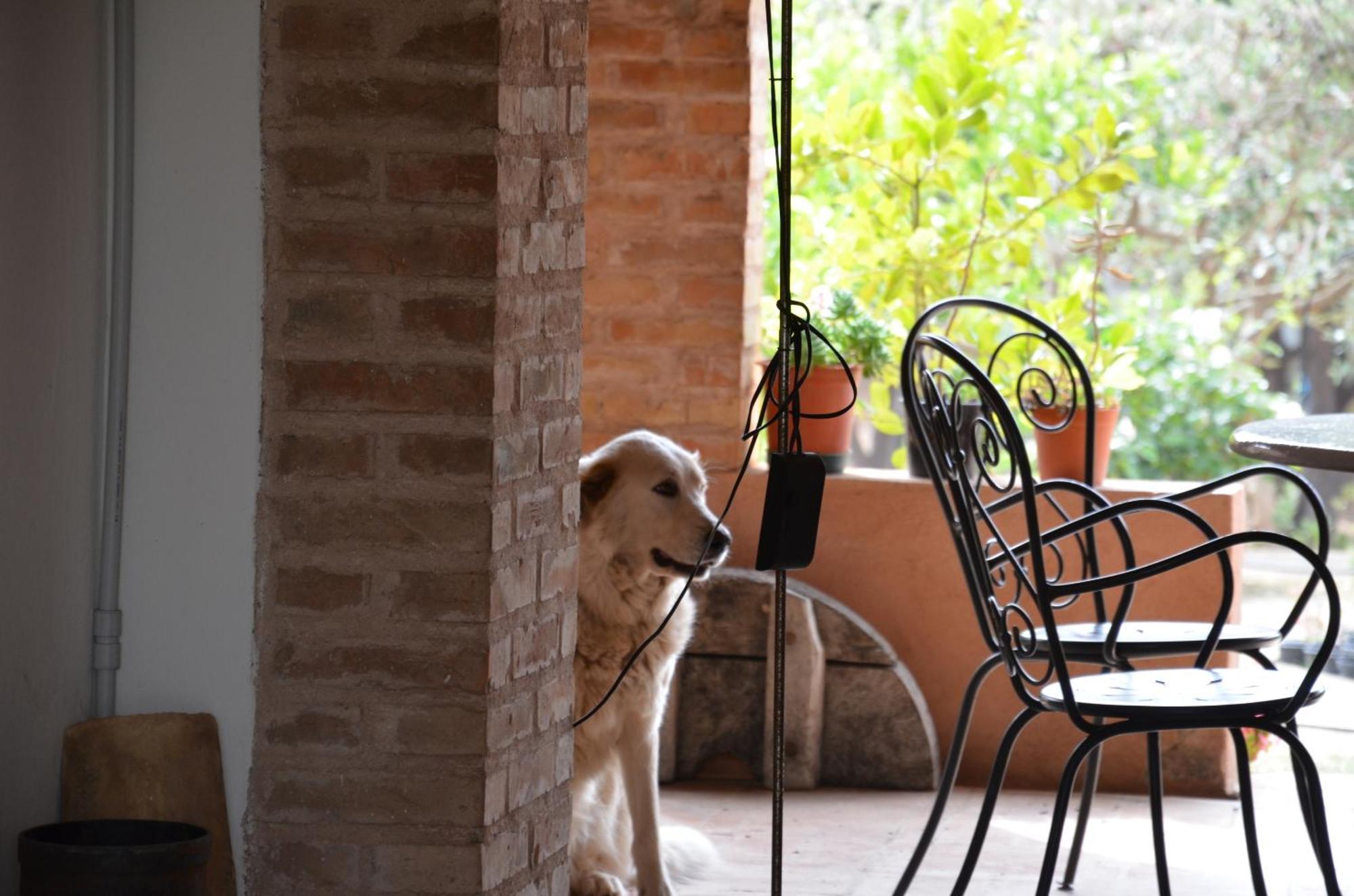 Bed and Breakfast Borgo Piazza Catanzaro Zimmer foto
