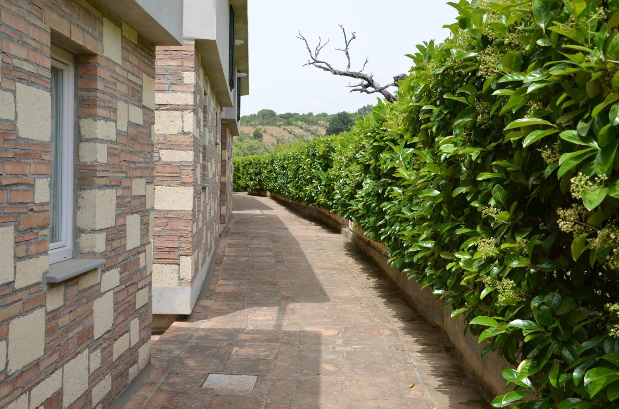 Bed and Breakfast Borgo Piazza Catanzaro Zimmer foto